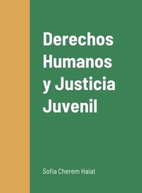 bokomslag Derechos Humanos y Justicia Juvenil