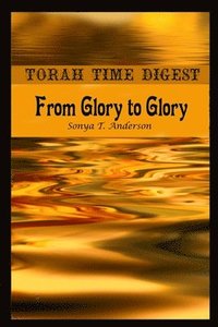 bokomslag Torah Time Digest