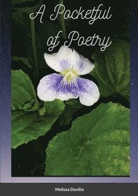 bokomslag A Pocketful of Poetry