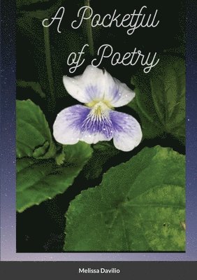 bokomslag Pocketful of Poetry