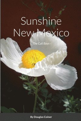 Sunshine New Mexico 1