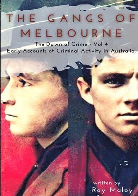Roy Maloy - Gangs of Melbourne - Dawn of Crime Volume 4, Häftad