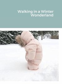 bokomslag Walking in a Winter Wonderland