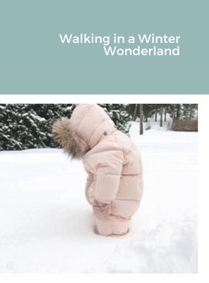 Walking in a Winter Wonderland 1