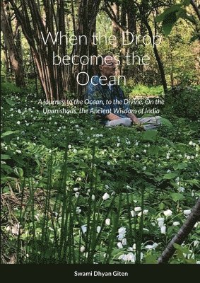 When the Drop becomes the Ocean