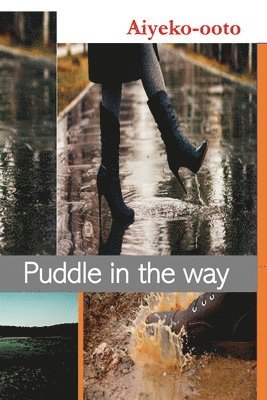 Puddle in The Way 1