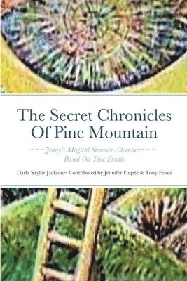 Secret Chronicles Of Pine Mountain 1