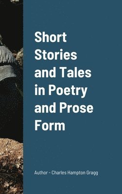 bokomslag Short Stories and Tales in Poetry and Prose Form