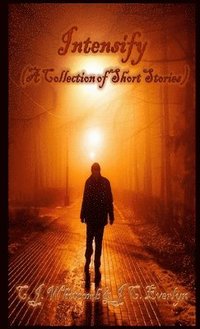 bokomslag Intensify (A Collection of Short Stories)