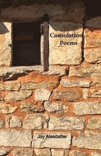 bokomslag Consolation Poems