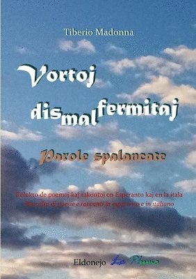 bokomslag Vortoj dismalfermitaj