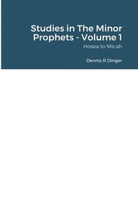 bokomslag Studies in The Minor Prophets - Volume 1