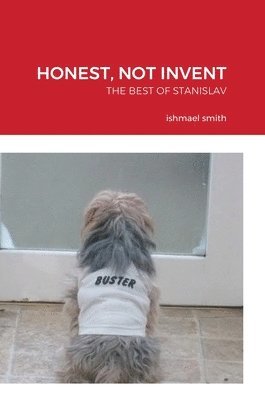 bokomslag Honest, Not Invent