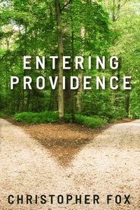 bokomslag Entering Providence