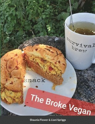 bokomslag Broke Vegan