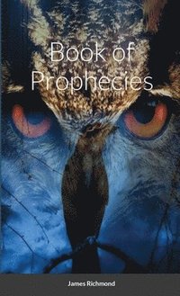 bokomslag Book of Prophecies