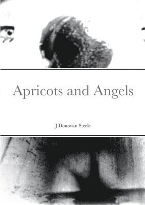 bokomslag Apricots and Angels