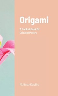 bokomslag Origami