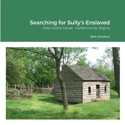 Searching for Sully's Enslaved 1