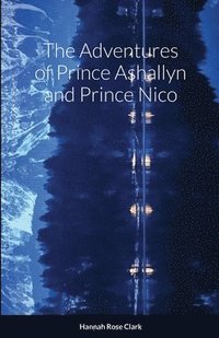 bokomslag The Adventures of Prince Ashallyn and Prince Nico