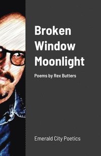 bokomslag Broken Window Moonlight
