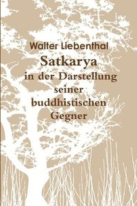 bokomslag Satkarya in der Darstellung seiner buddhistischen Gegner