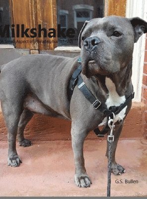 Gs Bullen, GS Bullen - Milkshake, Inbunden