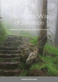 bokomslag The Mystic Way of Salvation