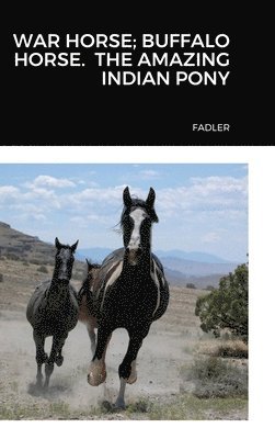 Susan Fadler - War Horse; Buffalo Horse. the Amazing Indian Pony, Inbunden