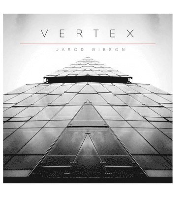 Vertex 1