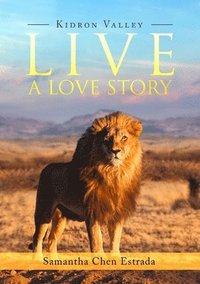 bokomslag Live a Love Story