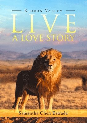 Live a Love Story 1