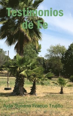 bokomslag Testimonios de Fe