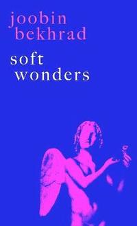 bokomslag Soft Wonders