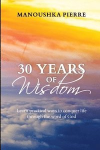 bokomslag 30 Years of Wisdom