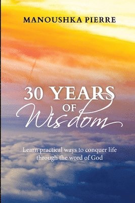 bokomslag 30 Years of Wisdom