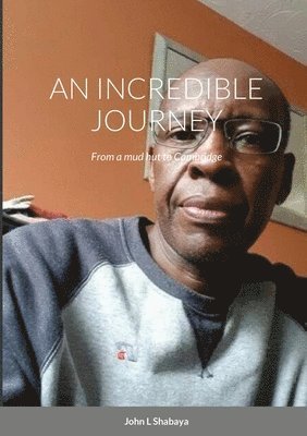 bokomslag Incredible Journey
