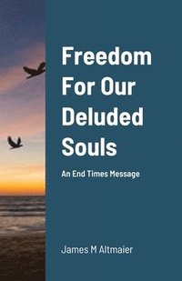 bokomslag Freedom For Our Deluded Souls