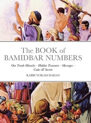 bokomslag The BOOK of BAMIDBAR NUMBERS