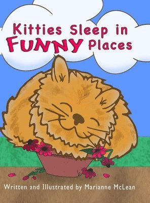 Kitties Sleep in Funny Places 1