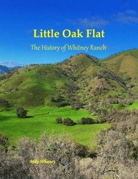 bokomslag Little Oak Flat