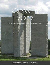 bokomslag Carved In Stone