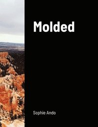bokomslag Molded