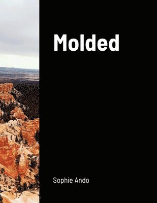 bokomslag Molded