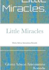 bokomslag Little Miracles