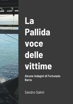 Sandro Salmi - pallida voce delle vittime Alcune indagini di Fortunato Barra di SANDRO SALMI, Häftad