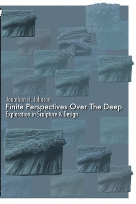 Jonathan Johnson - Finite Perspectives, Häftad