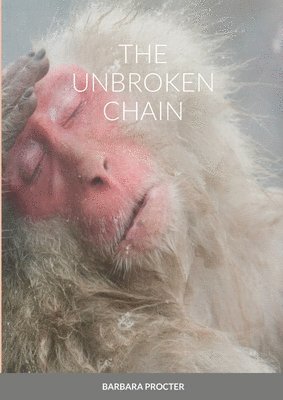 bokomslag The Unbroken Chain