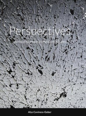 Perspectives 1