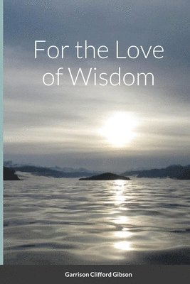 bokomslag For the Love of Wisdom
